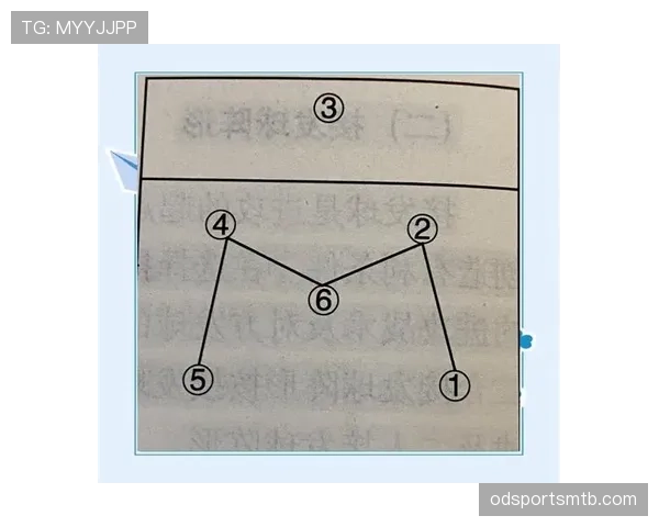 L组球队战术打法全面解析